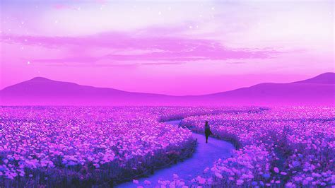 2048x1152 Day Dreaming Lavender Field 4k 2048x1152 Resolution HD 4k ...