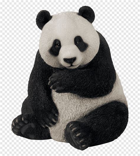 Realistic Panda Bear Drawings