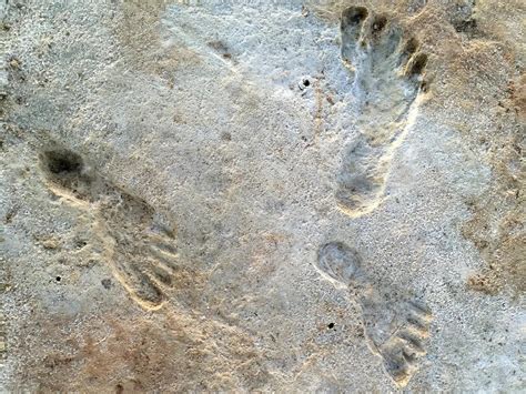 Incredible Fossil Footprints Are The Earliest Known Trace of Humans in ...