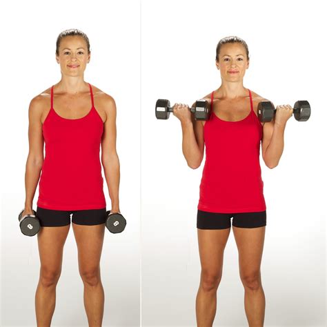 Bicep Curl | Sculpt and Strengthen Your Arms With This 3-Week Challenge | POPSUGAR Fitness