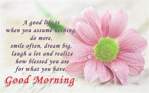 Best Good Morning Wishes, Pictures and Greetings to Share Everyone | by Abhishek Verma | Medium