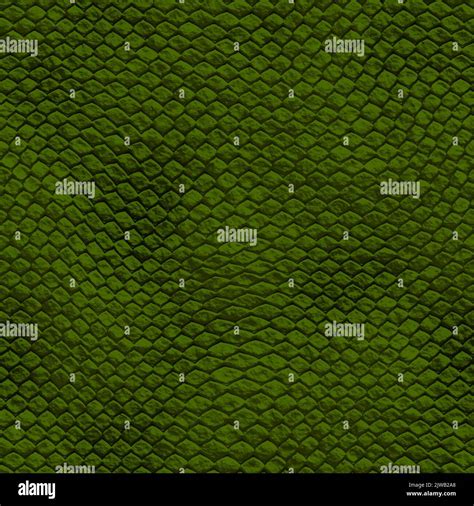 Alligator skin texture. Seamless crocodile pattern, reptile with green ...