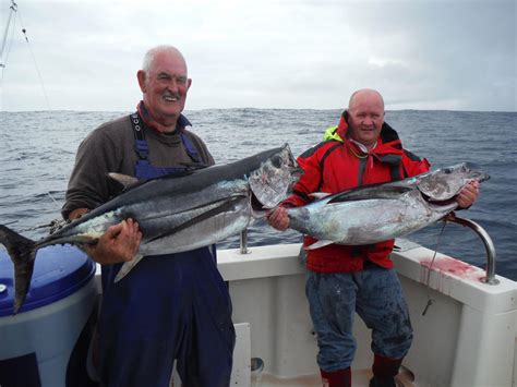 Big albacore tuna for Kinsale charter boat at the weekend | Fishing in Ireland - Catch the ...