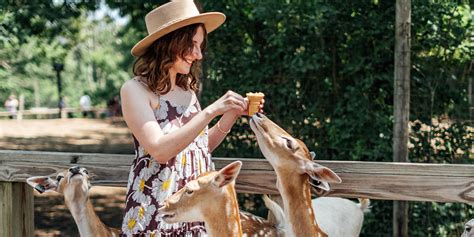 Wisconsin Deer Park - Unique Family Petting Zoo & Attraction | WisDells