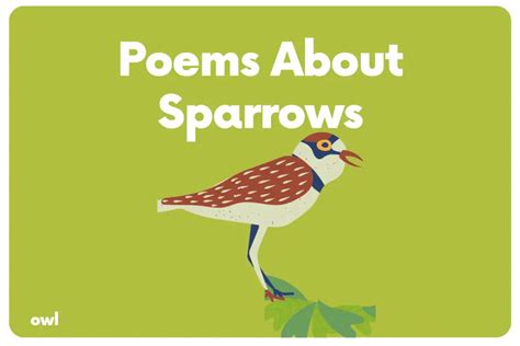 35 Poems About Sparrows - The Teaching Couple