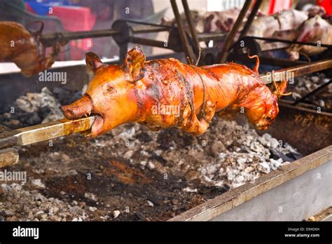 Whole roasted pig on a steel spit Stock Photo - Alamy