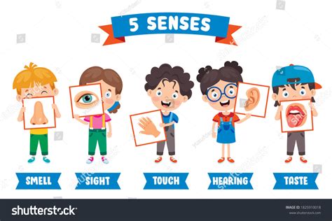 Five Senses Concept Human Organs Stock Vector (Royalty Free) 1825910018 | Shutterstock