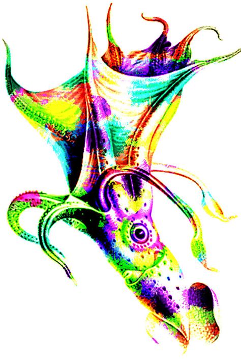 Colorful Abstract Octopus Painting by Eti Reid