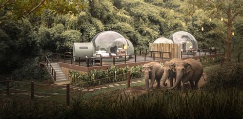 Anantara Golden Triangle Elephant Camp & Resort | Chiang Rai Thailand ...