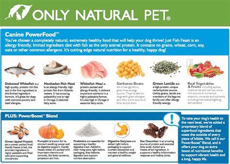 What Ingredients Are In Dog Food