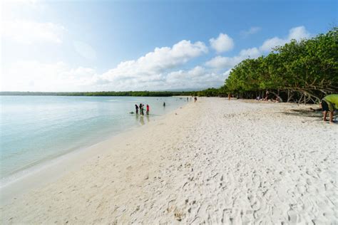 15 Free Things To Do in Santa Cruz, Galapagos: Without a Guide