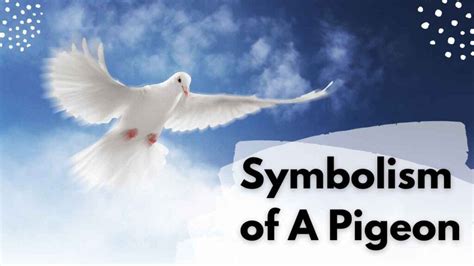 The Symbolism of a Pigeon: More Than Just a Bird | by Arbaz | Medium