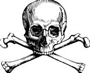 Skull N Crossbones Free Stock Photo - Public Domain Pictures
