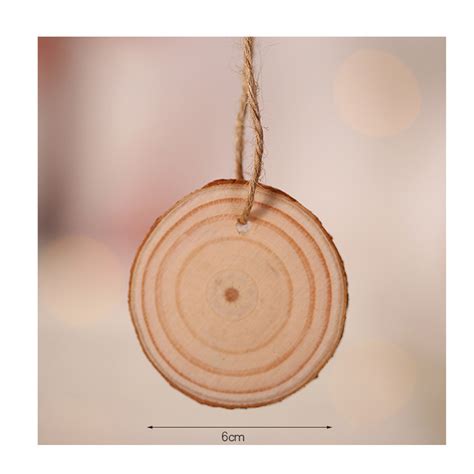 10X Natural Wood Slices Unfinished Predrilled&Hole Wooden Circles for ...