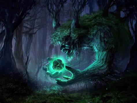 Download Enigmatic Dark Magic Forest Wallpaper | Wallpapers.com