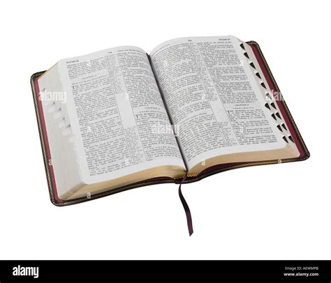 Lista 95+ Foto Que Es Una Gárgola En La Biblia Actualizar