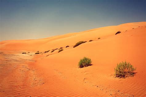 Liwa Desert Photograph by Elena Marselis - Fine Art America