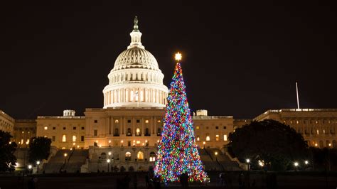 November 3, 2024 Washington Dc Christmas Market - Patti Berenice