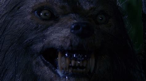 'Bad Moon' Is a Strong Contender for the Best On-Screen Werewolf [We Love '90s Horror] - Bloody ...