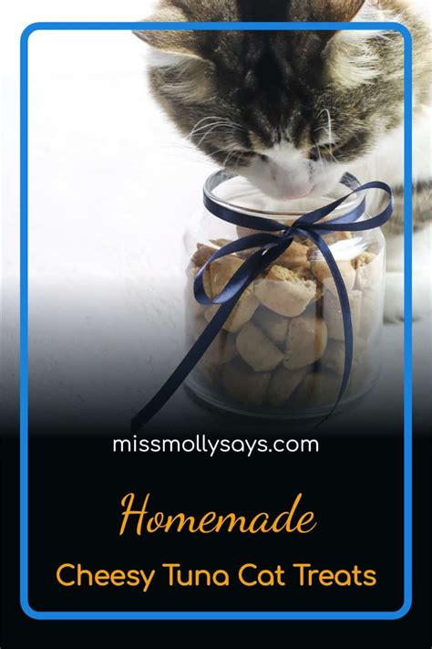 Homemade Cheesy Tuna Cat Treats your Cat will Meow For!