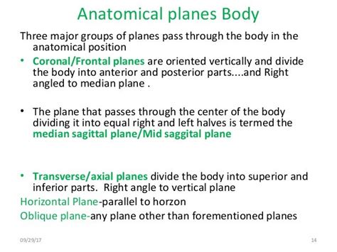 Oblique Plane Anatomy - Anatomical Charts & Posters