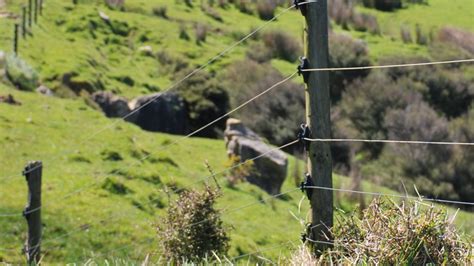 Vantagens da cerca elétrica rural em relação a outros tipos de segurança - ZEBU - CERCAS ELÉTRICAS