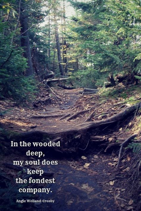 Pin by Stacey Miller on A Walk In The Woods | Nature quotes trees, Into the woods quotes, Nature ...