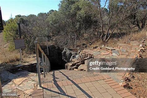 87 Sterkfontein Caves Stock Photos, High-Res Pictures, and Images - Getty Images