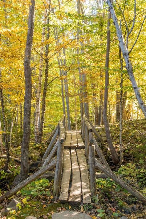 Beautiful fall colors of Acadia National Park 11606450 Stock Photo at ...