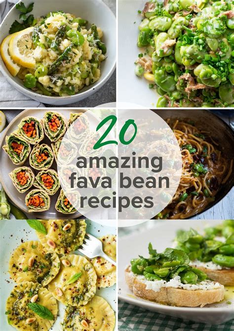 20 Fava Bean Recipes (+ Full Produce Guide!) - Flavor the Moments