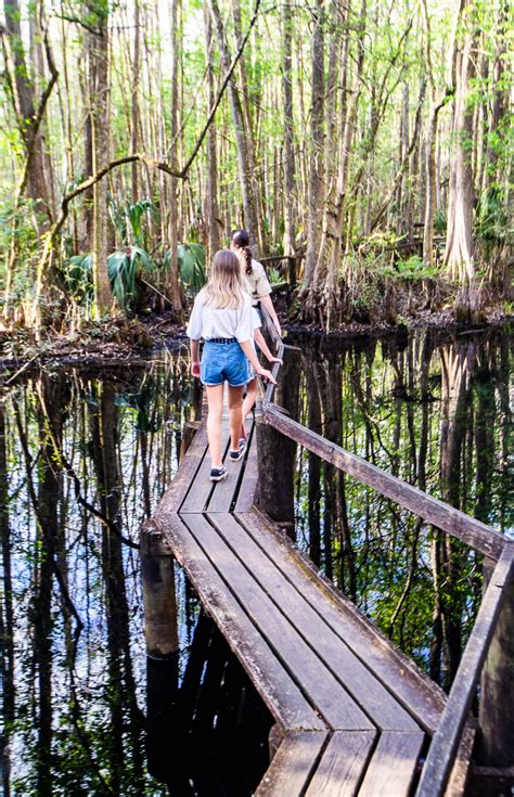 Guide To The Amazing Highlands Hammock State Park, Florida