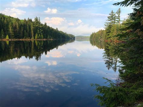 What I woke up to yesterday at Algonquin Provincial Park in Ontario, CA ...