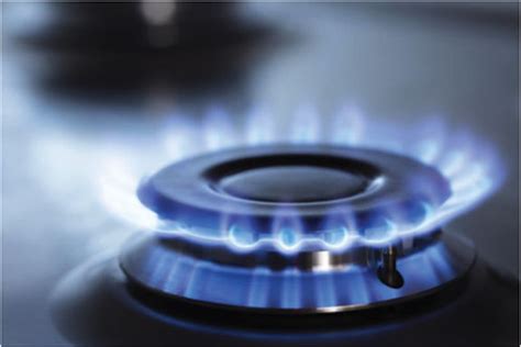 Lake Apopka Natural Gas addresses four issues impacting their industry and could impact the ...