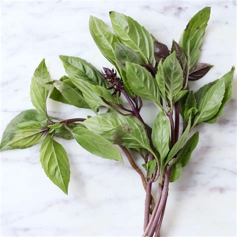 What is Thai Basil? + How To Use It In Recipes - WhitneyBond.com