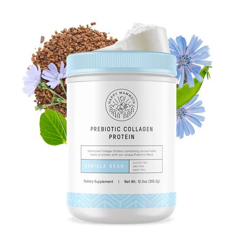 Prebiotic Collagen Protein: Heal Your Gut, Feel Amazing – Happy Mammoth