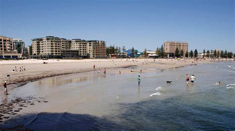 Glenelg Beach | Glenelg, Wonders of the world, Adelaide south australia