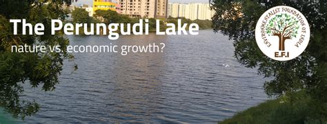 The Perungudi Lake – nature vs. economic growth? – Lakes of India