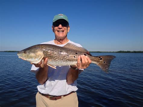 Punta Gorda Fishing Charters November 2013 Forecast