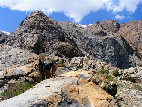 Virginia Lakes Trail - Don't Miss This Beautiful Sierra Nevada Hike ...