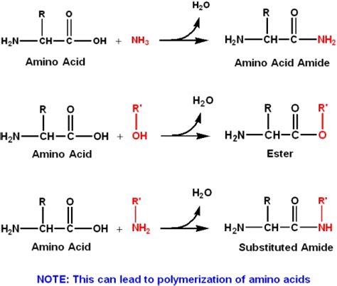 Acid-base Chemistry of Amino Acids - Chemistry LibreTexts