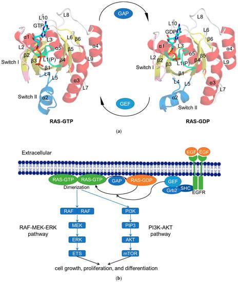 Molecules | Free Full-Text | Computer-Aided Drug Design Boosts RAS Inhibitor Discovery