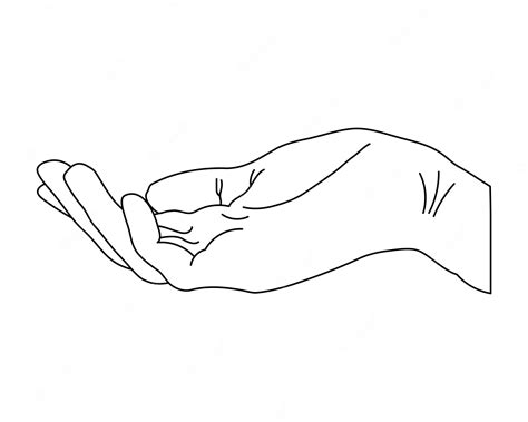 Premium Vector | Hand drawn outline hand, human palm. Line art ...