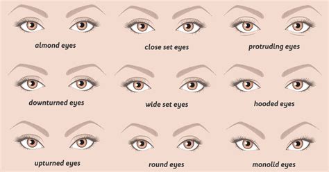 THIS is What Your Eye Shape Says About Your Personality! - David Avocado Wolfe