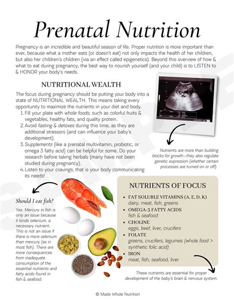 Prenatal Nutrition Handout — Customizable Nutrition Education Materials - Made Whole Nutrition