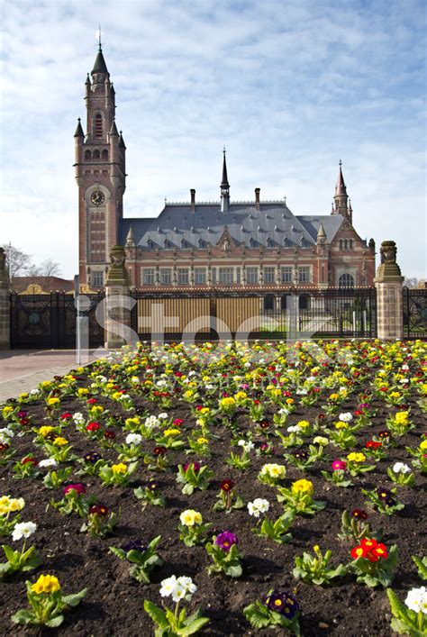 Peace Palace The Hague Stock Photo | Royalty-Free | FreeImages