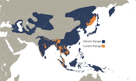 White Tiger Habitat Map