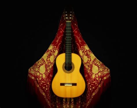 Buzard blog: guitarra flamenca