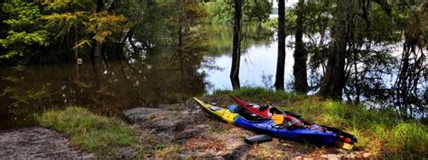 Altamaha River - Open Space Institute (en-US)