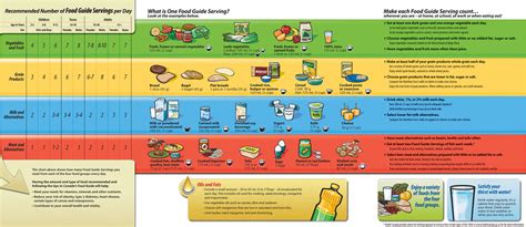 Canada’s Food Guide – Food For Health