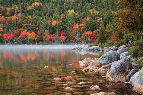 USA, Maine, Acadia National Park, Fall Photograph by Joanne Wells - Pixels